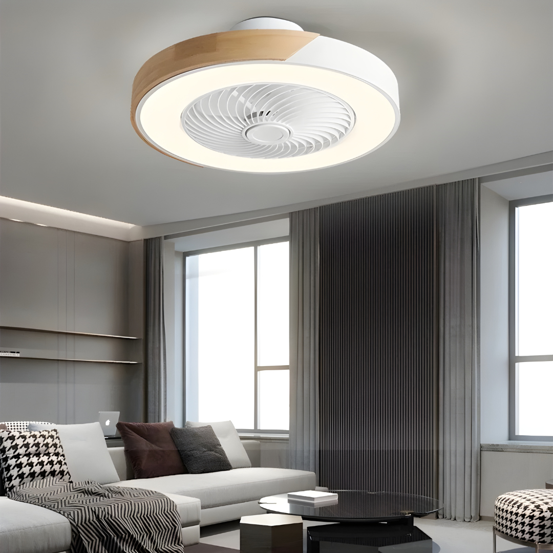 LumiBreeze Ceiling Fan Light