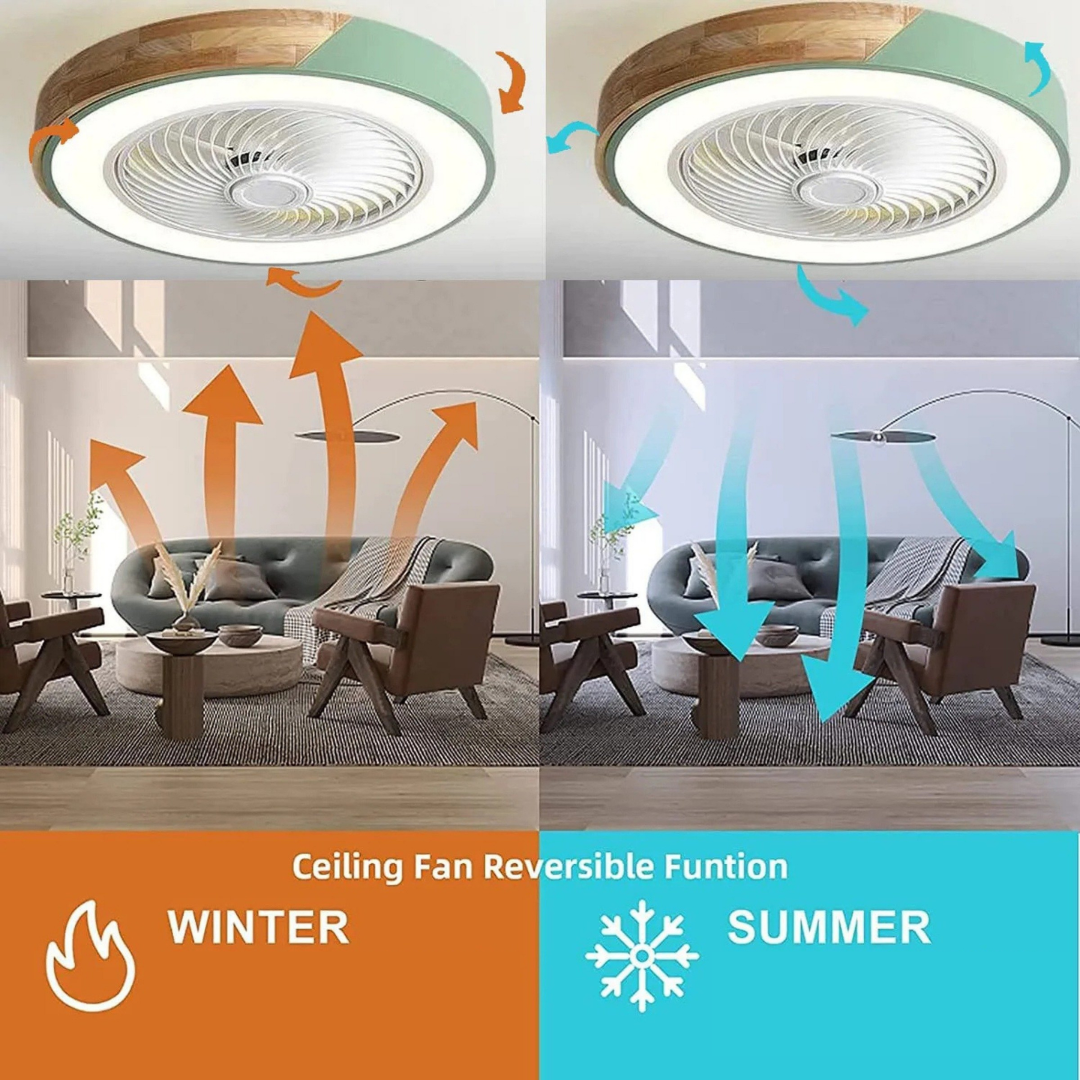 LumiBreeze Ceiling Fan Light