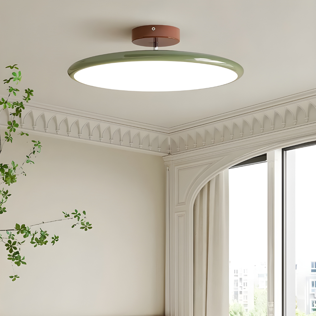 Ceiling light fixture in a room with decorative molding and a window.