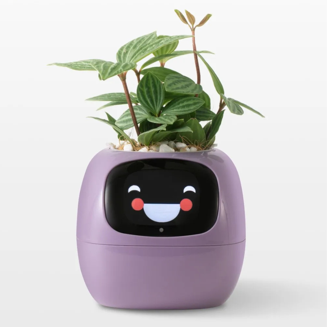 PlantPal – Interactive Smart Planter