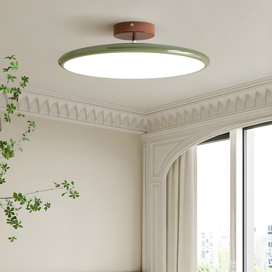 Ceiling light fixture in a room with decorative molding and a window.