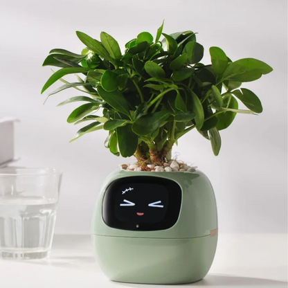 PlantPal – Interactive Smart Planter