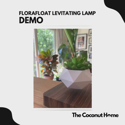 FloraFloat Levitating Lamp