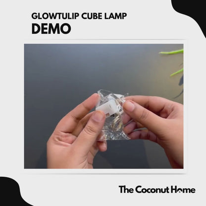 GlowTulip Cube Lamp